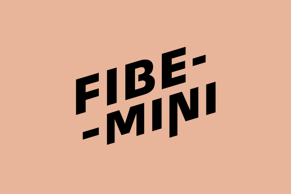 fibemini-01
